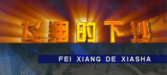 《飛翔的下(xià)沙》-杭州經濟技術開(kāi)發區城市宣傳片