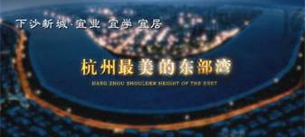 《最美的東部灣》-杭州經濟技術開(kāi)發區形象片
